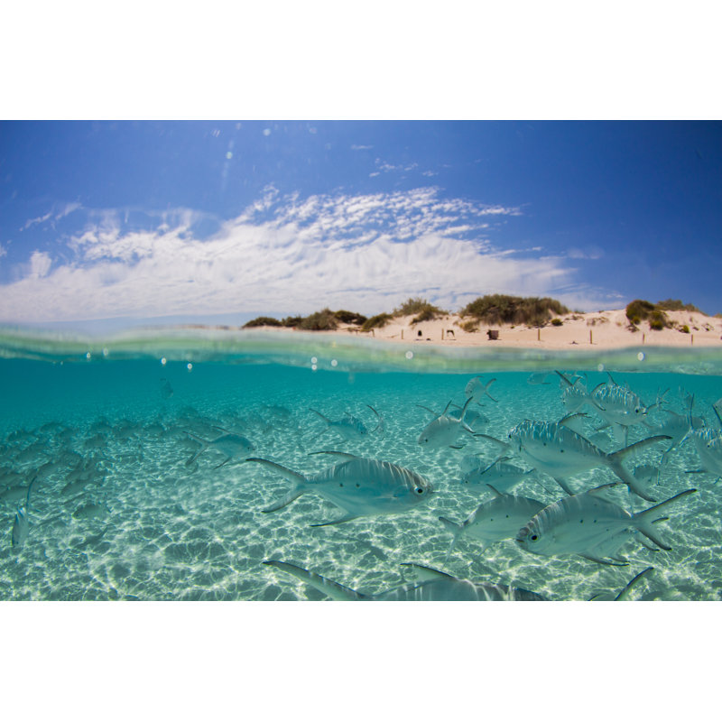 Underwater And Above Water by Indianoceanimagery - Wrapped Canvas Print, 30cm H x 46cm W