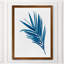Indigo botanica iii-reproduction d’art encadrée-637204969-637204970