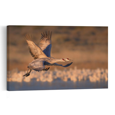 Golden Crane Flight Contemporary Bird Wall Art Print 1 Piece Wrapped Canvas Wall Art