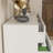Jadonna 9-Drawer Dresser, Bedroom Dresser-1506909957
