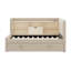 Upholstered Daybed With Trundle, Storage Shelves, USB & Outlet-172984056