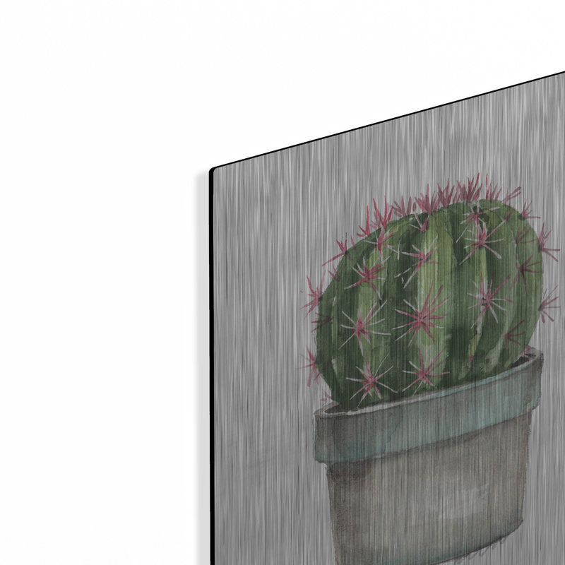 «Mixed Greens Succulent II» par Lisa Audit, H 16 po x l 12 po