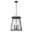 Doeden 4 - Light Outdoor Hanging Lantern-1857397399