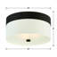 Grayson 3 - Light Flush Mount-791260594
