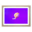 Jellyfish - Picture Frame Graphic Art Print-55609917-55609921
