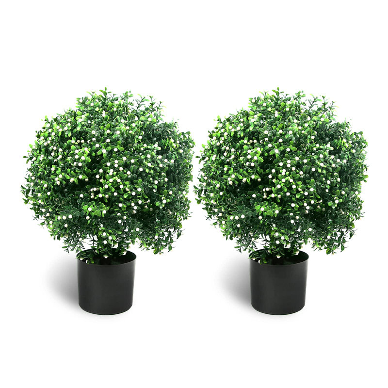 20.98'' Jasmine Plant