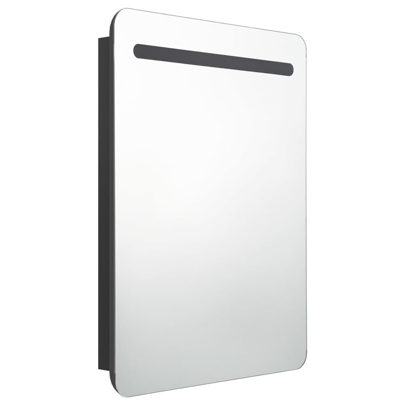 Lirah 600mm W 800mm H Surface Frameless Medicine Cabinet Mirror 2 Fixed, Black