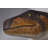 Theropod Dinosaur Head Life Size Statue