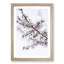 Branch of a White Cherry Blossom Tree - Picture Frame Painting Print-55513024-55513027