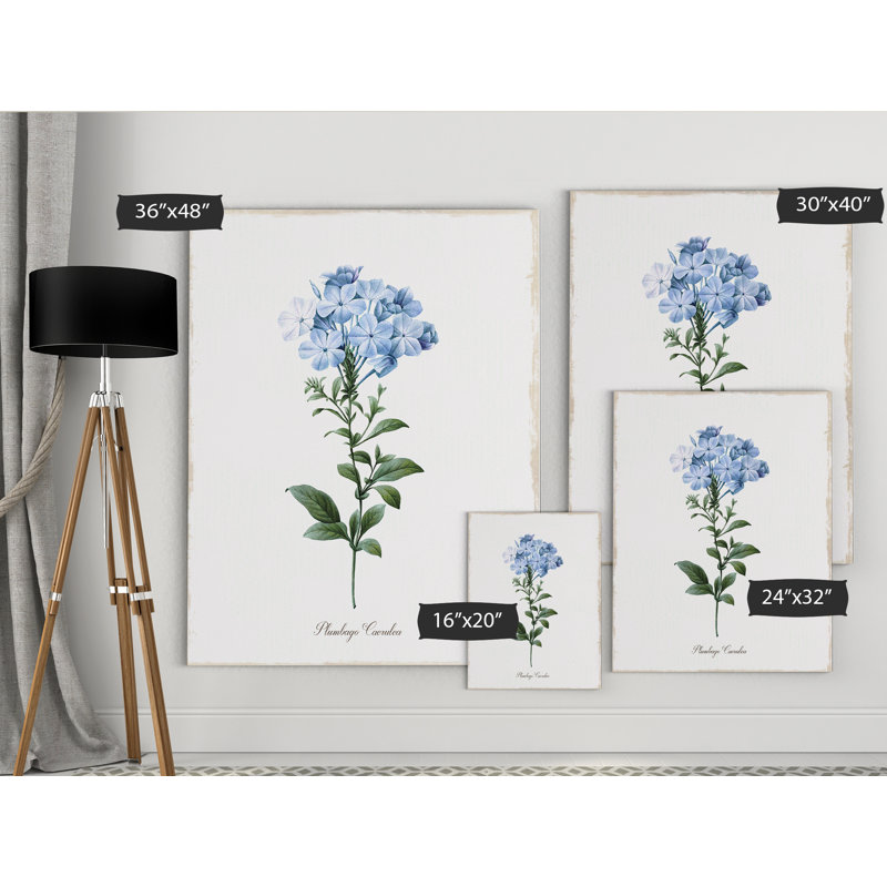 « cape leadwort », reproduction d’art sur toile tendue, H 36 po x l 48 po x P 1,5 po