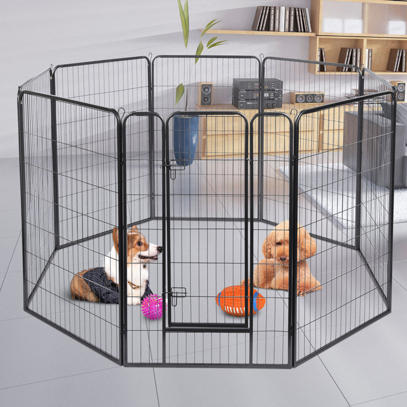17DPP006007_wfv Très grand parc pour enclos d'exercice pour chien, H 31,5 po x l 47,25 po x P 47,25 po