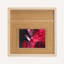 Limited Edition 12 x 12 in. "Mouth Wide Open" Framed Silk Scarf by Fanyu Lin