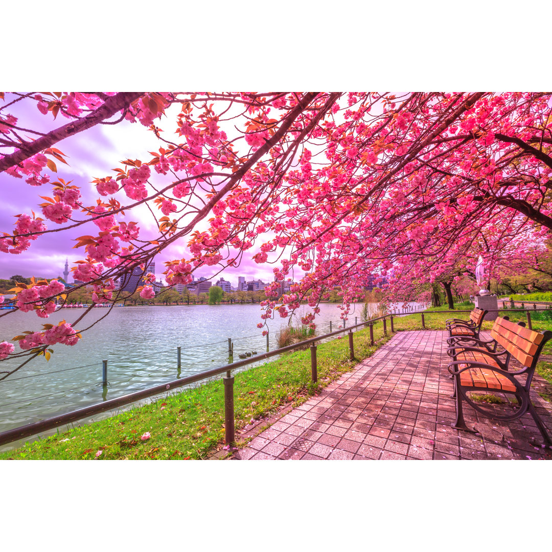 Leinwandbild Hanami in Ueno Park von Benny Marty