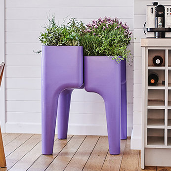 Pot Planter, Purple, 88cm H x 34cm W x 64cm D