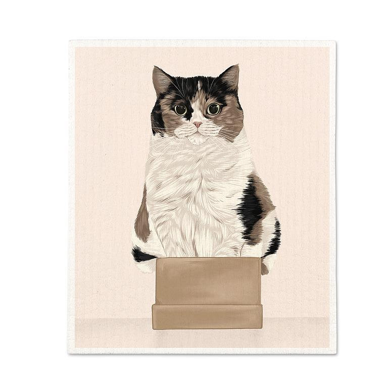 Cat In A Box Dishcloth