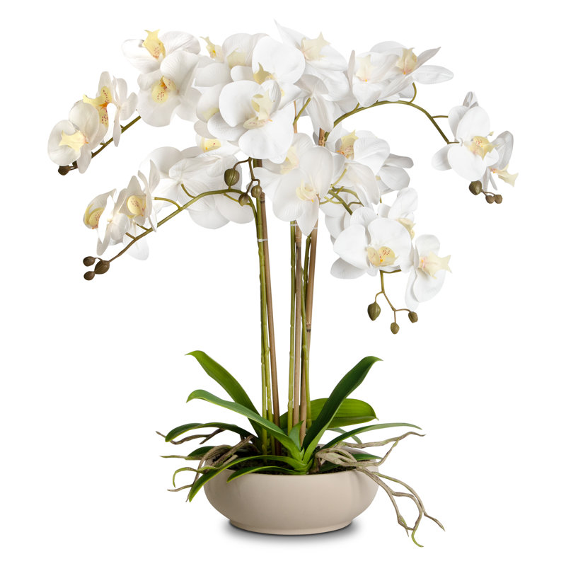 Arrangement de soie orchidée en pot