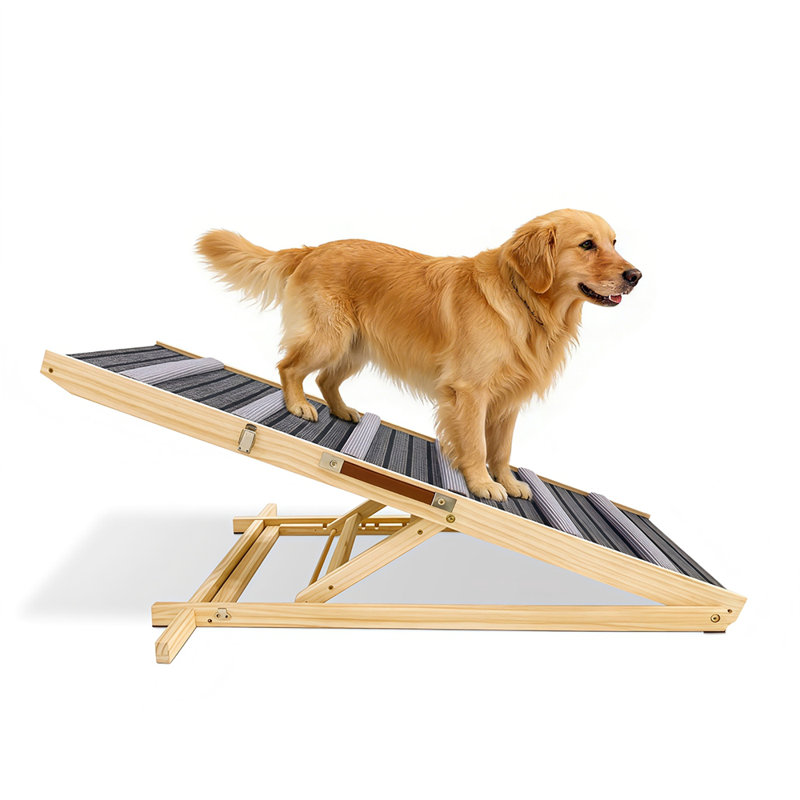 Rampe pour chien améliorée pour canapé, petit bélier