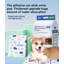 Tapis pour chien (ensemble de 40)