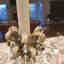Customer photo 2 of 4