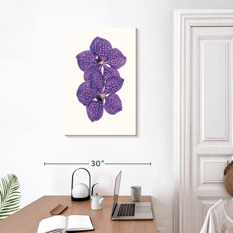 Harnek Curious Collections Flower VI, H 30 po x l 20 po