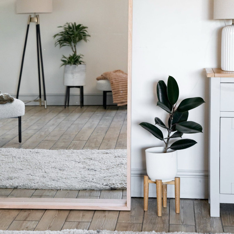 Hanaka Rectangle Leaning Full Length Mirror