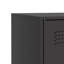 Shelman Steel Accent Cabinet-736418009