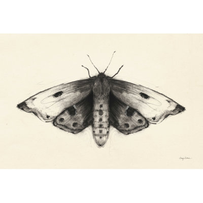Moth I - peinture sur toile tendue