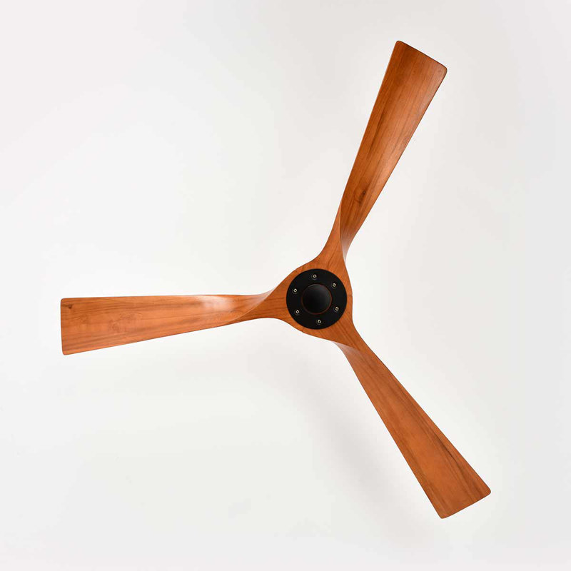 Haydar 52'' Ceiling Fan