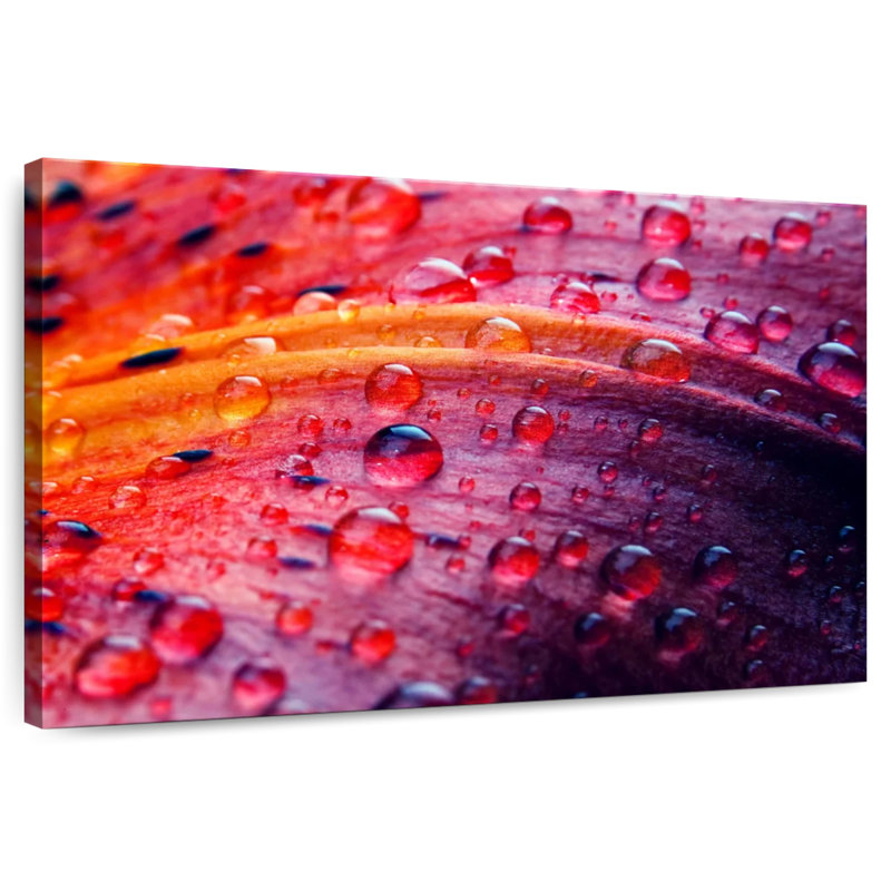 Harnek Lily Flower Droplets, 16" H x 24" W