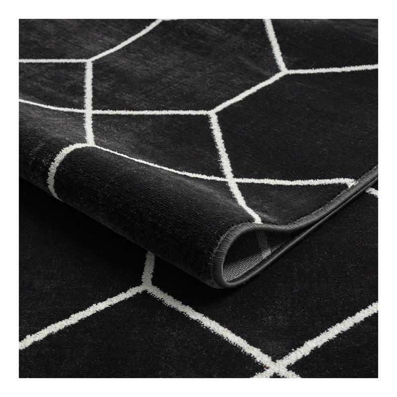 Trellis Geometric Woven Area Rug