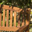 Birge Solid Wood Teak Outdoor Bench