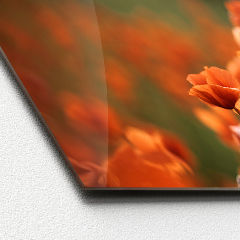 No Frame Print on Glass, 50 cm H x 125 cm W x 1.4 cm D