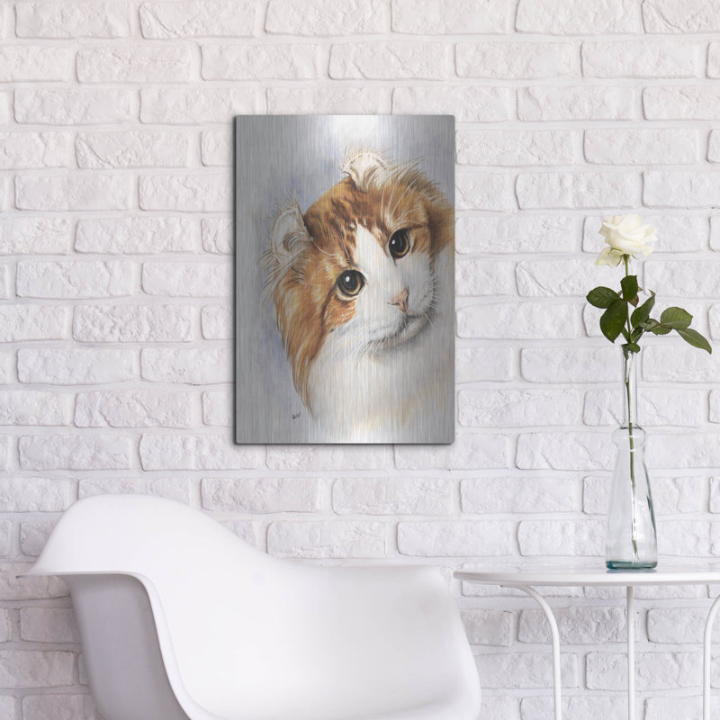 «American Curl 2» par Barbara Keith, H 24 po x l 16 po