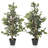95cm Ficus Tree in Pot