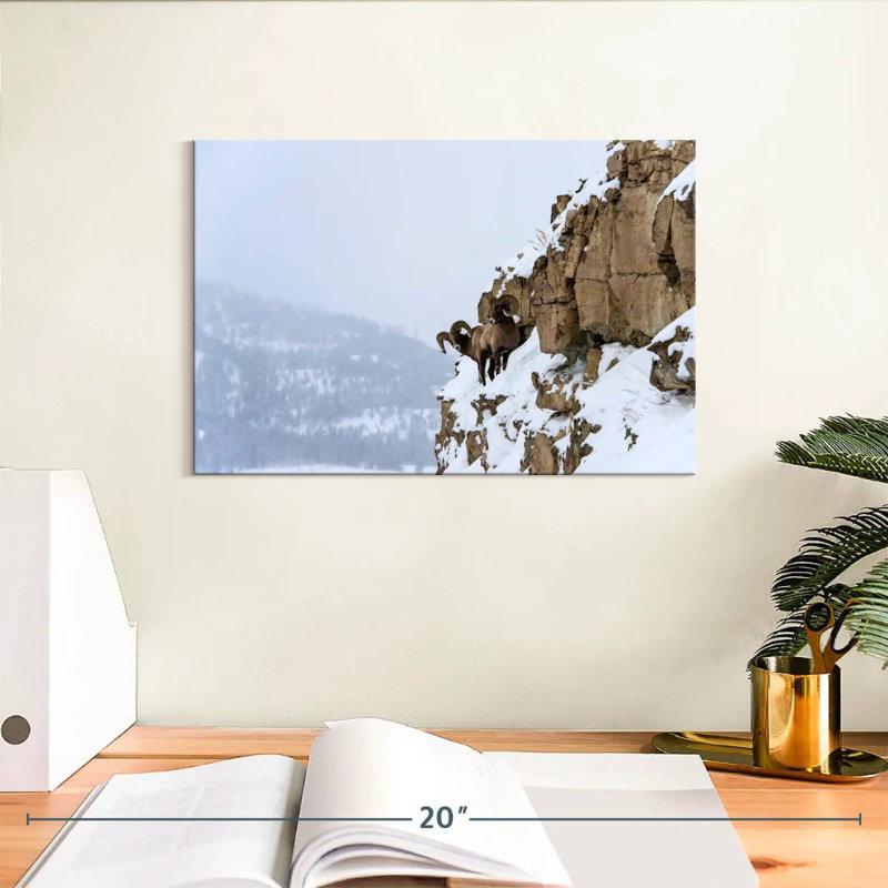 Brampt Winter Bighorn Sheep, 8" H x 12" W