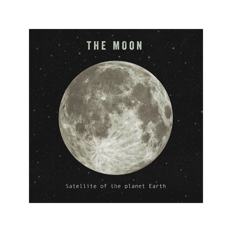The Moon by Terry Fan - Wrapped Canvas Print, 93.98 cm H x 93.98 cm W x 1.91 cm D