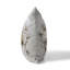 Coussin Magnolia Majesty-101215880-101215882