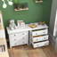 Benedetic 72cm W Chest of Drawers