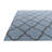 Odenton Gray Rug