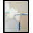 Black est en rupture de stock sélectionné