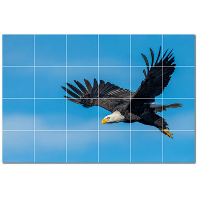 Bird Photo 12'' x 12''