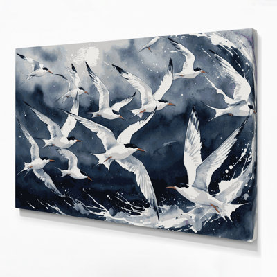 Art mural, oiseaux, sterne arctique gris