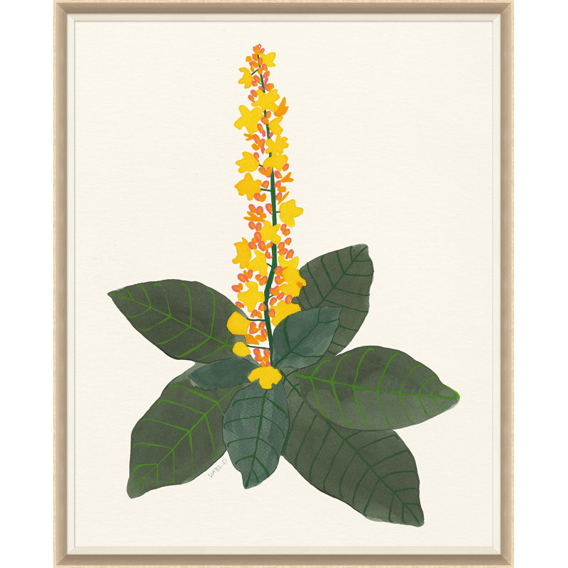 Euphorbia Print