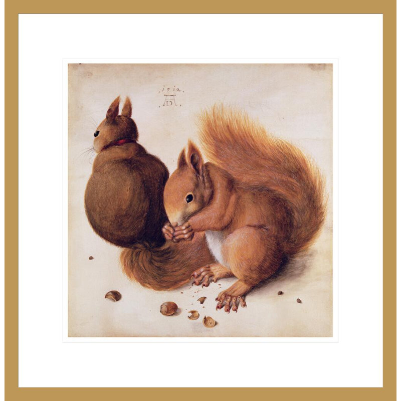 «Squirrels» par Albrecht Dürer, impression giclée sur cadre, H 18,15 po x l 17,75 po