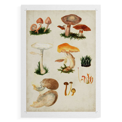 Champignon IV - reproduction de toile seulement - NON-CADRE