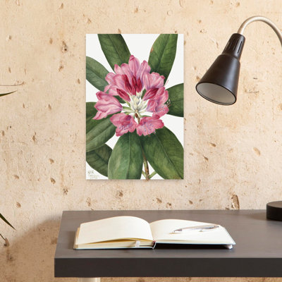 Mountain Rose Bay Colorful Retro Rustic Flower Plant Wall Art