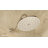 Waterhill Rain Fixed Shower Head with Immersion-1289403345