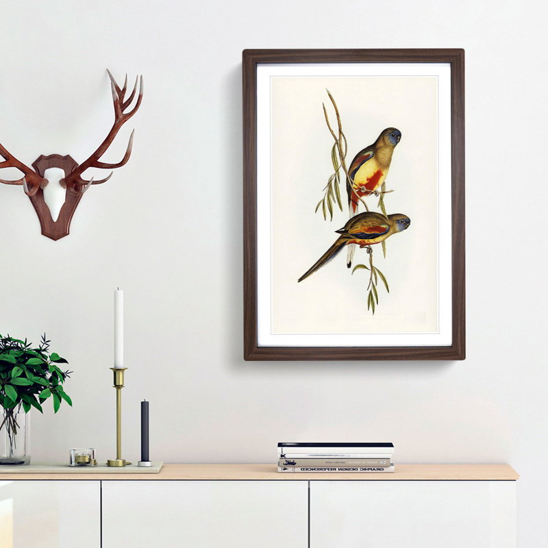 Crimson-Bellied Parakeets by Elizabeth Gould - Framed Print, 36cm H x 27cm W x 2cm D, Walnut Framed