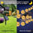 Bussell 30 - Bulb 252'' Solar Powered Curtain String Light