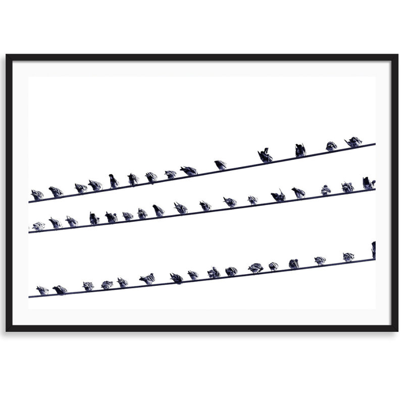 Birds On A Wire Print by Carly Tabak, Black Wood, 25" W x 18" H